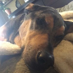 Meet your Posher, Erika